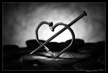 ...love is / ***