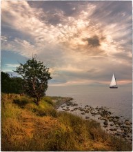 Segeln / ***
