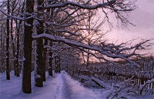 Winterabend / ***