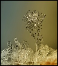 Neu in der alten ... / ***