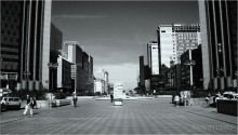 Napoli citta / ---
