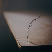  / ***