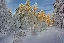 Winter-Etüde / ***