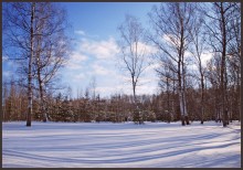 Winter Glade / ***