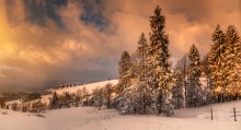 Winterstimmung .. / ***