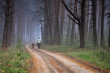 Morgen-Weg / ***