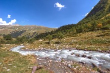 Mountain Stream / ***
