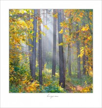 Umgeben durch Herbst / ***