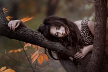 Dream / ***