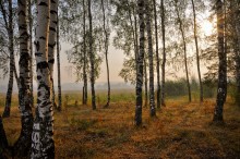 Landschaft in der Nähe von Moskau / ***