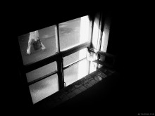 Grün ... / ***