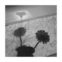 Navel Schatten auf Oduvan oder wie Sie heute dort ankam / ***