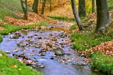 Herbst nastroeie / ***