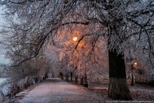 In Erwartung des Abends / ***