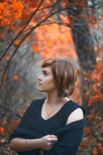 Autumn Gold / ***