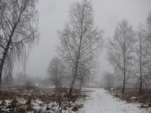 Auf dem Weg, Winter, langweilig ... / \\\\
