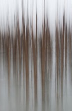 Melody in der Stille / ***