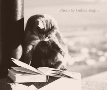 Buch-kote beste Freundin / :):):):):)