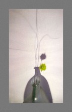 Schatten / ***