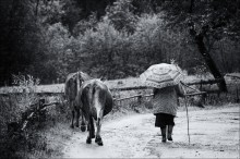 Grandma Freitag / ***