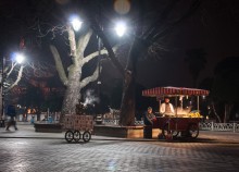 Nacht Anbieter / ***