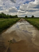 Road to the Clouds / ..............................