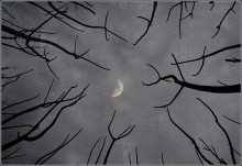 GOTHIC / ***