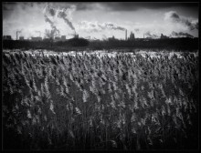 Lebensraum / ***