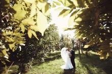 Hochzeit / ***