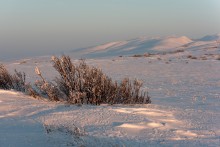 Chukotka. Tundra / ***