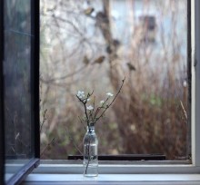 Februar / ***