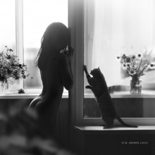 windows (Valentine's Day) / re-post ©2012