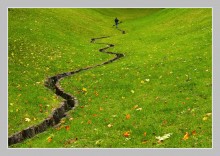 Wrong Way / ***
