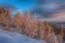 Morgendämmerung / ***