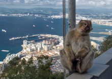  / Gibraltar