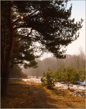 Abschied von Winter / ***
