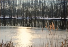 die letzten Tage des Winters / ***