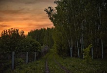 Später am Nachmittag. Nach Hause. / ***