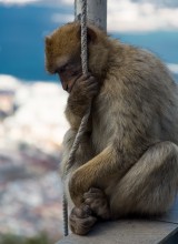  / Gibraltar
https://vimeo.com/120165873