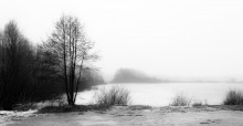 Nebel / ***