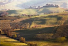 Dawn in Montalcino / ***