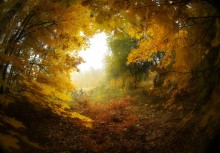 "Portal" / .....