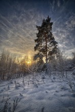 Winterabend ... / ***