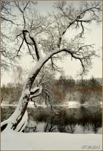 Speicher des Winter / ***