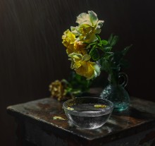 Rose in der regen ... / ...