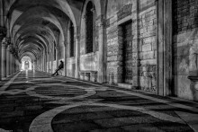 Galerie / ***