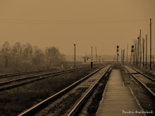 Auf dem Weg! / -------