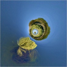 Gravitation / ***