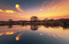 "Reflection" / ***