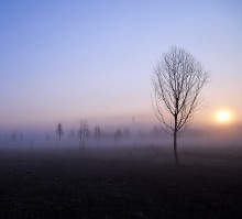 _iI* / ***